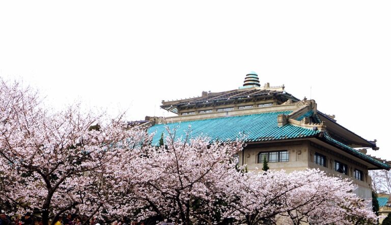 Mengenal Lebih Jauh Universitas Diponegoro sebagai Pusat Pendidikan Berkualitas